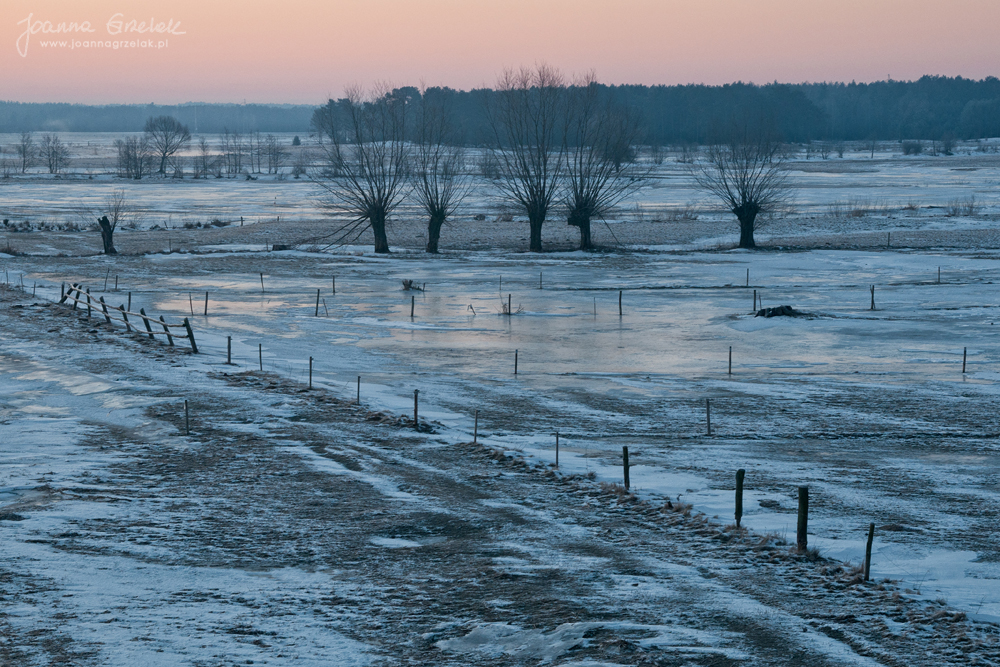 056_Biebrza - marzec 2013.jpg